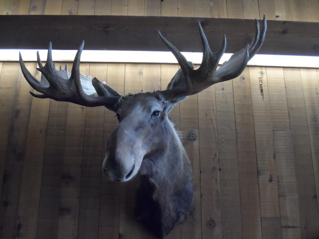 Bear Lodge Motel Sundance Dış mekan fotoğraf