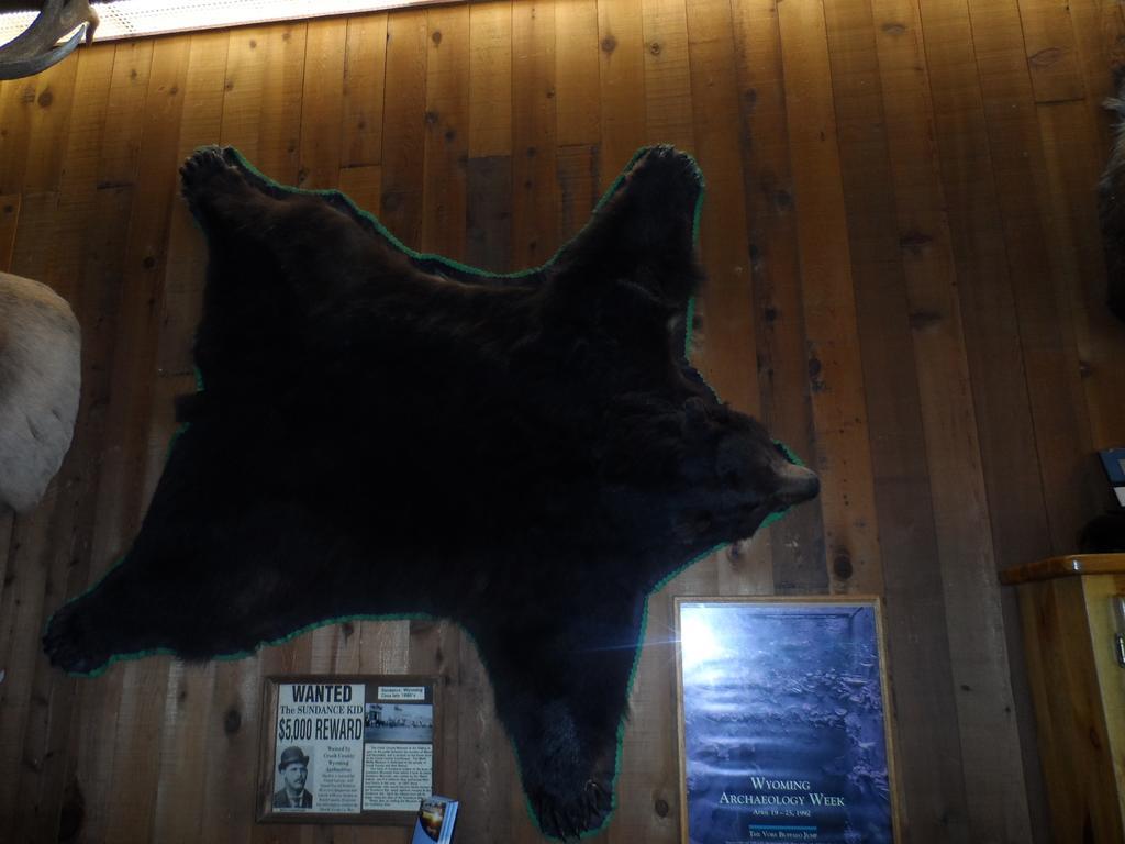 Bear Lodge Motel Sundance Dış mekan fotoğraf